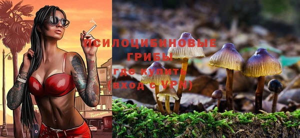 тгк Магас
