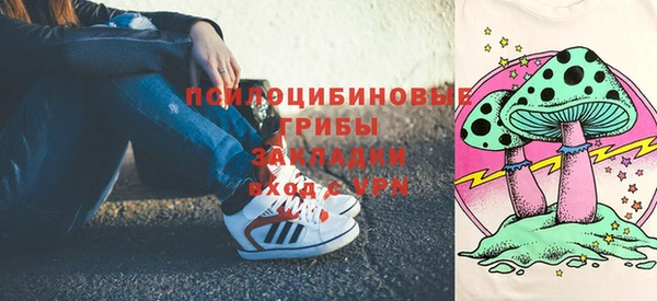 тгк Магас