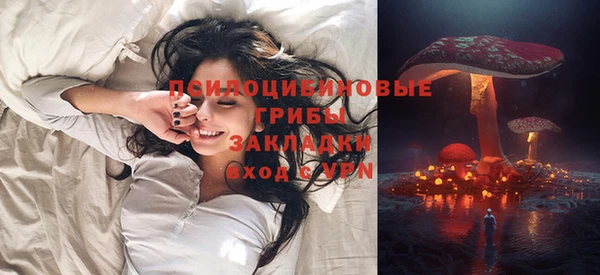 стафф Кулебаки